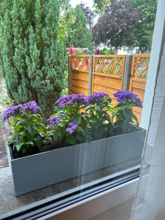 Fewo By Hd Mit Parkplatz, Wallbox, Wintergarten Bad Salzuflen Esterno foto